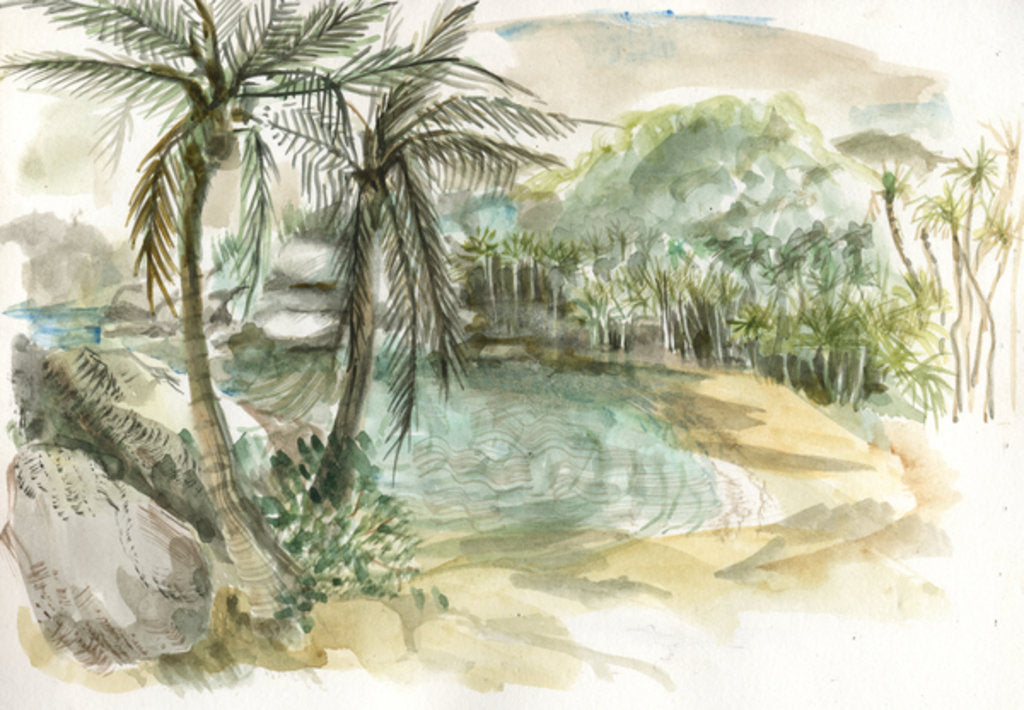 Detail of Beach, Tyrona, Colombia, 2008 by Mary Kuper