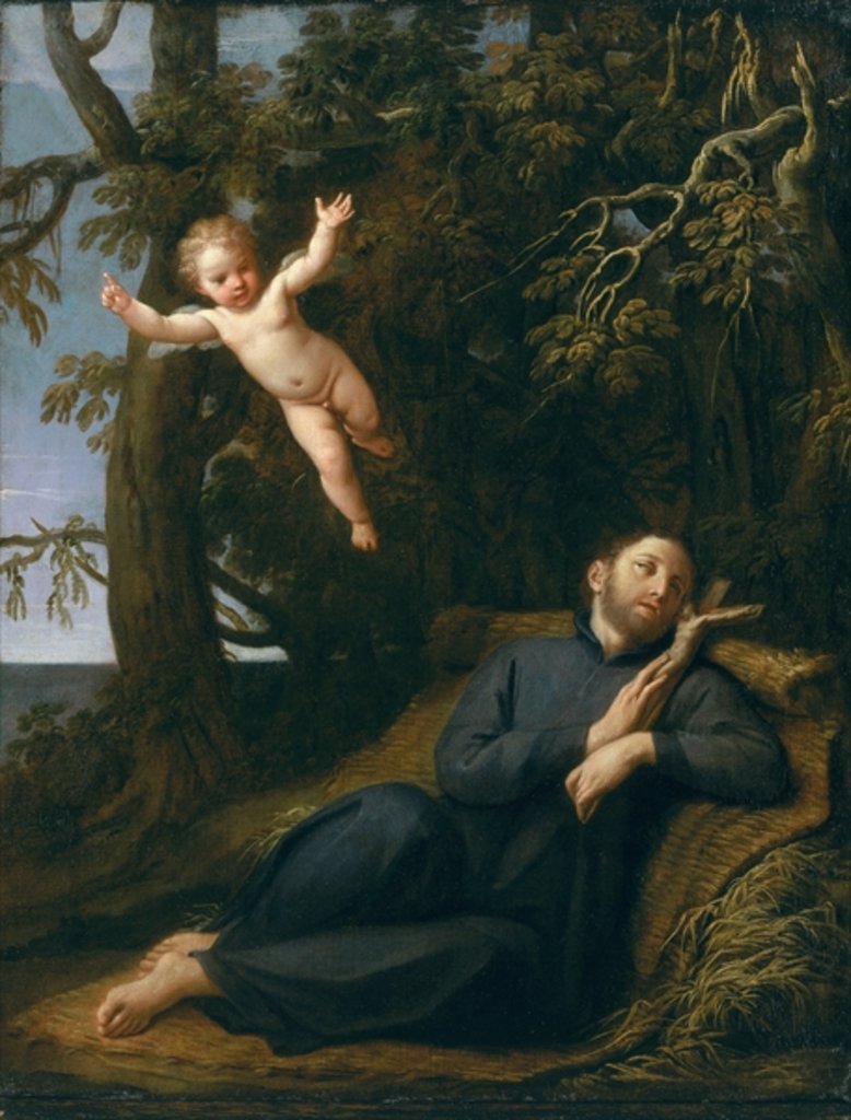 Detail of St. Francis in the Desert by Marco Antonio Franceschini