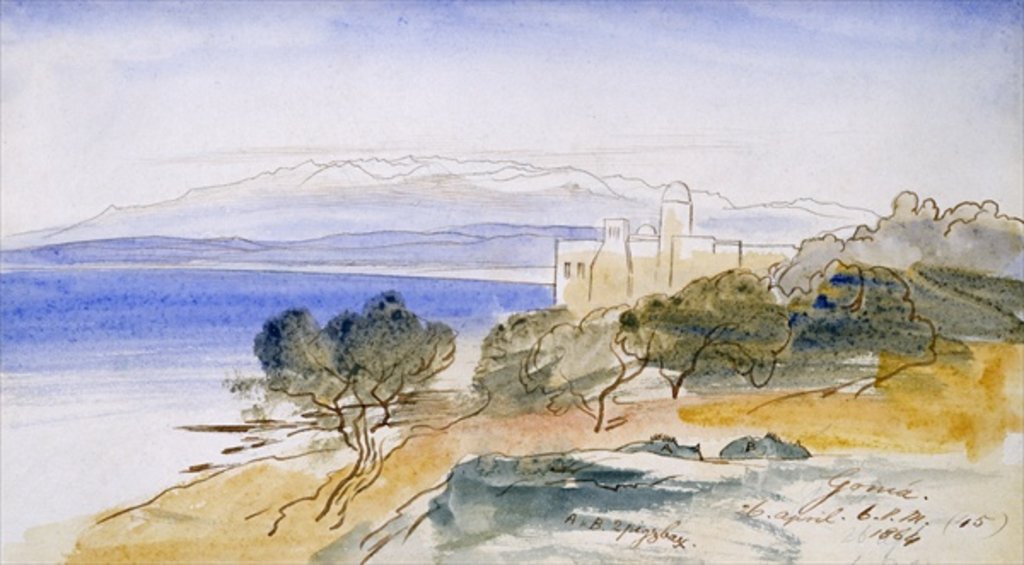 Detail of Gonia, 1864 by Edward Lear