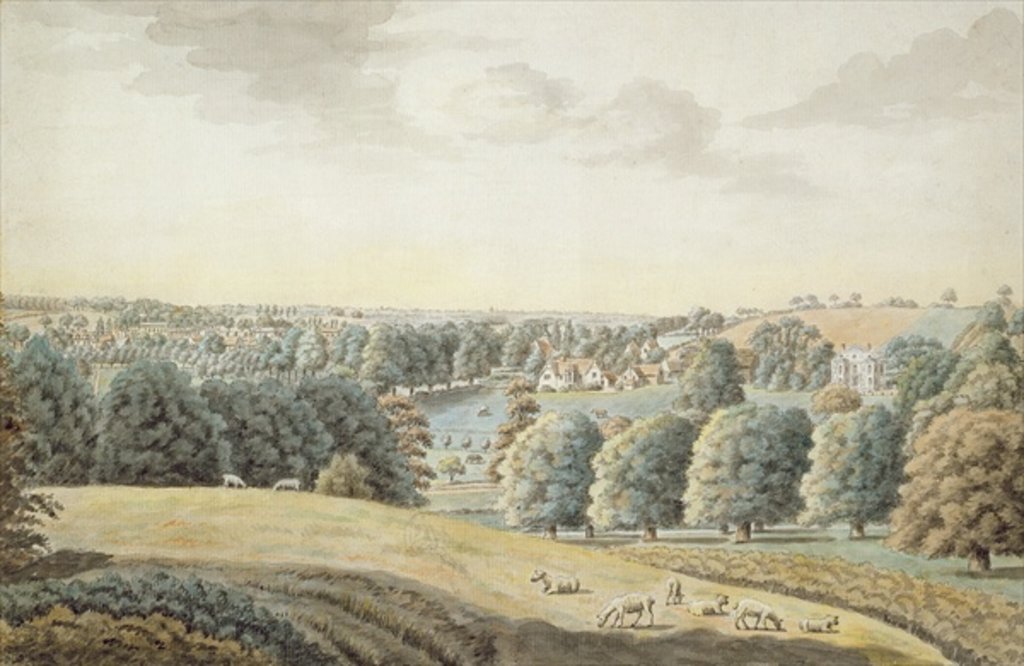 Detail of Bengeo by Joshua Gosselin