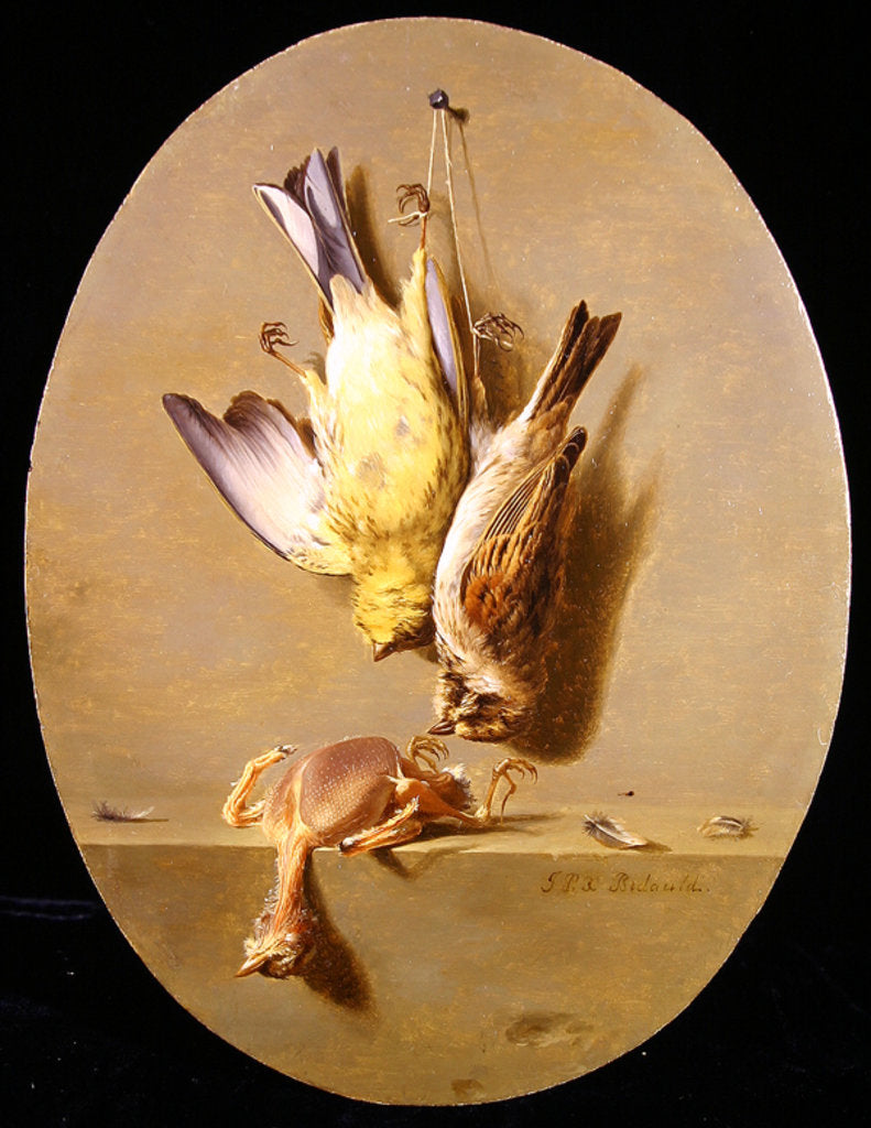 Detail of A Trompe L'Oeil of Dead Songbirds by Jean Joseph Xavier Bidauld