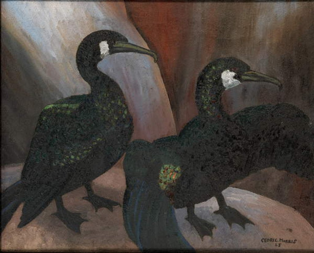 Detail of Green Cormorants, 1925 by Cedric Morris