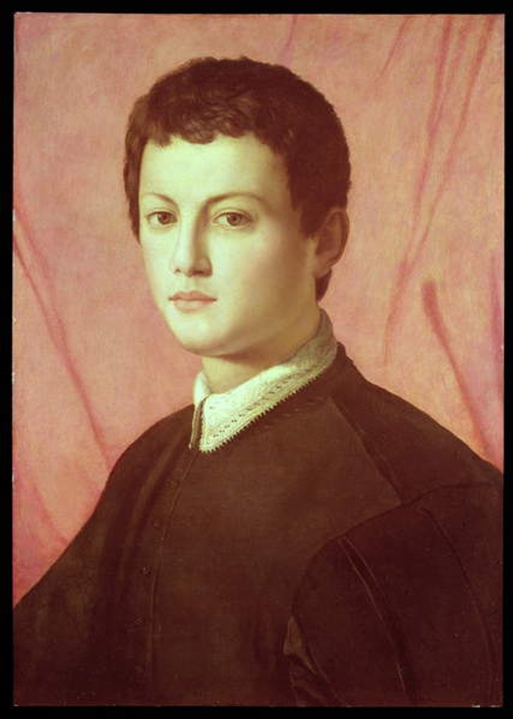 Detail of Portrait of a young man by Agnolo di Cosimo Bronzino