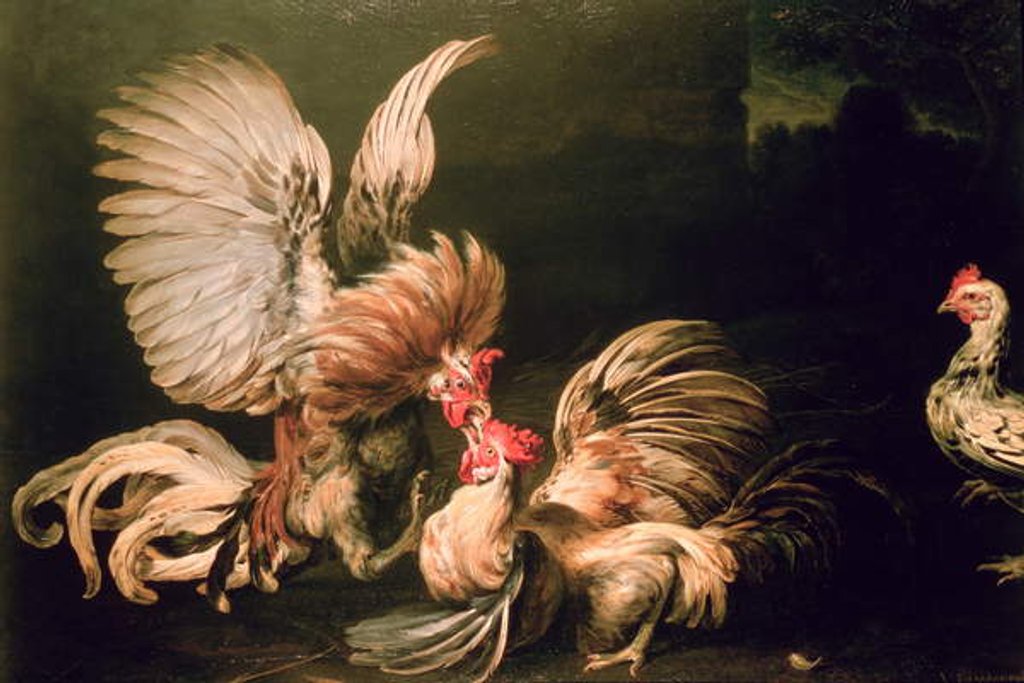Detail of Fighting Cocks by Frans Snyders or Snijders