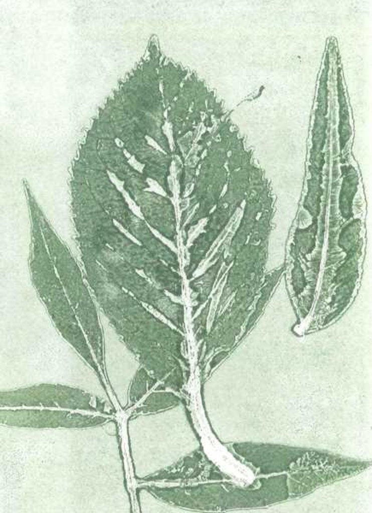 Detail of Gone IX, 2015 by Stephen Dow