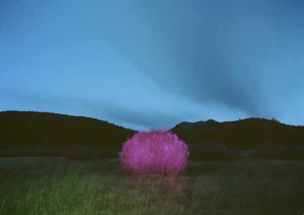 Detail of Painting in the Dark, 2015 by Carli Choi