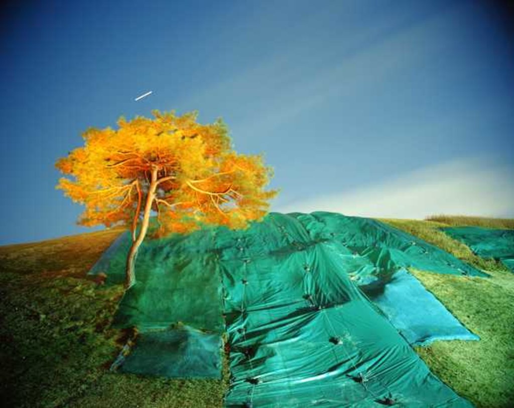 Detail of Painting in the Dark, 2011 by Carli Choi