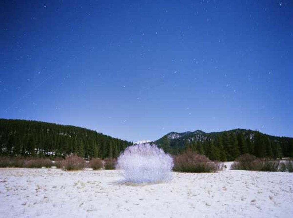 Detail of Painting in the Dark, 2015 by Carli Choi