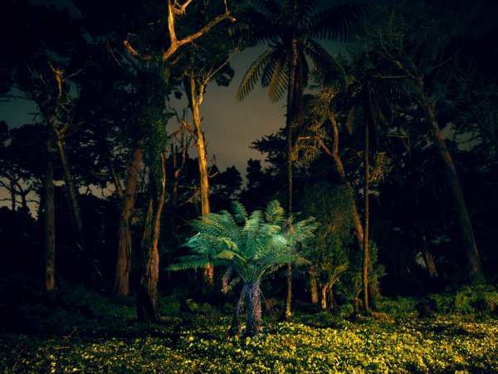 Detail of Painting in the Dark, 2014 by Carli Choi