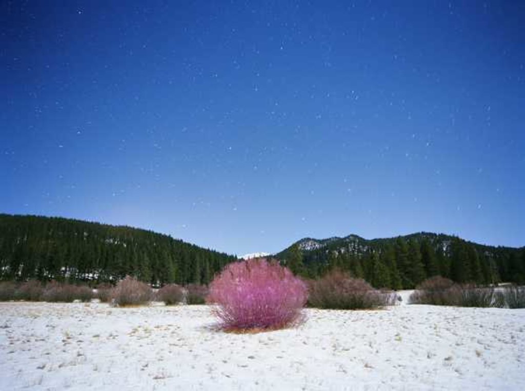 Detail of Painting in the Dark, 2015 by Carli Choi