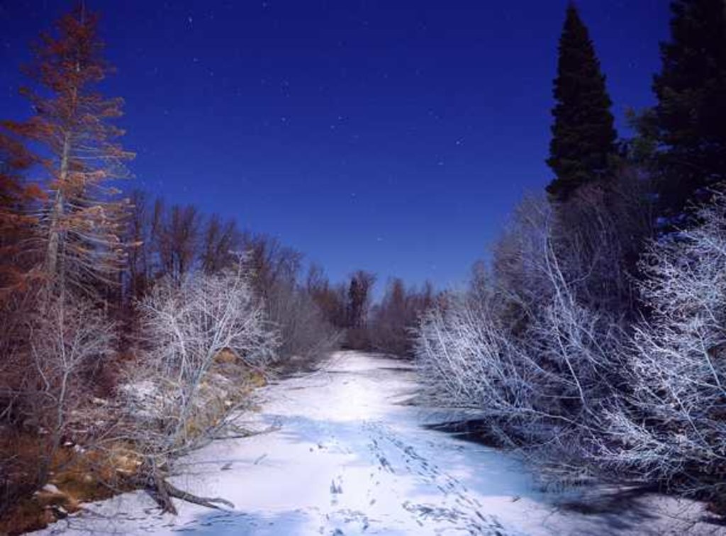 Detail of Painting in the Dark, 2014 by Carli Choi