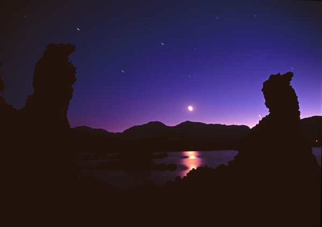 Detail of Painting in the Dark, 2013 by Carli Choi