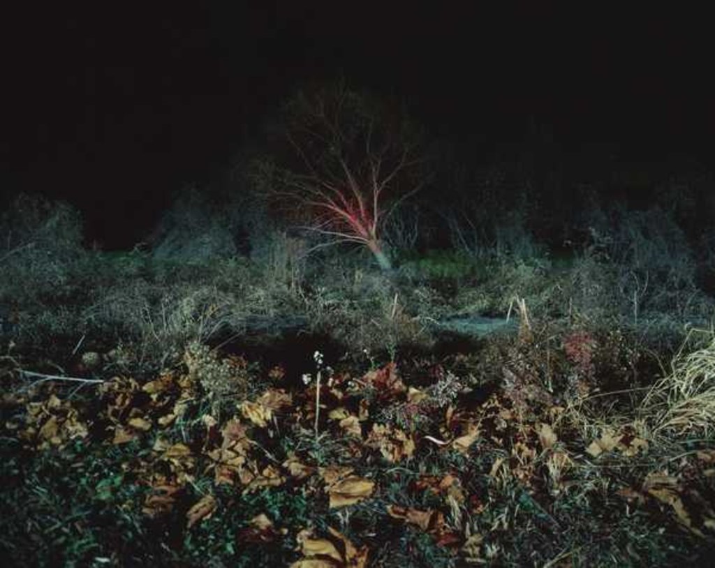 Detail of Painting in the Dark, 2011 by Carli Choi