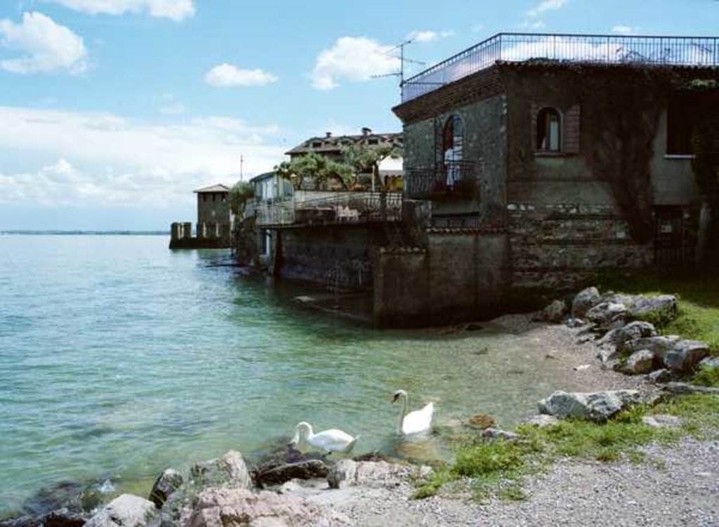 Detail of Italy, 2013 by Carli Choi