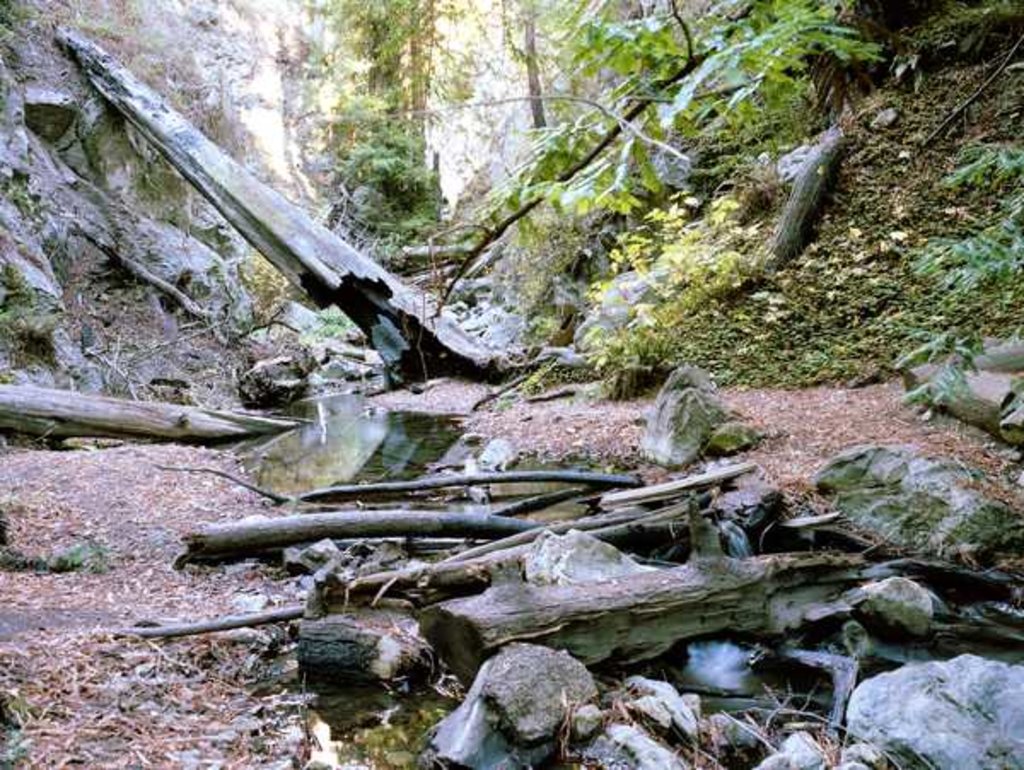 Detail of Big Sur, 2014 by Carli Choi