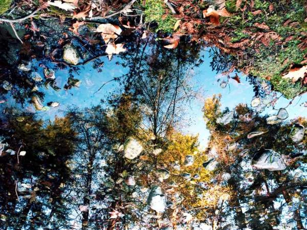 Detail of Big Sur, 2013 by Carli Choi