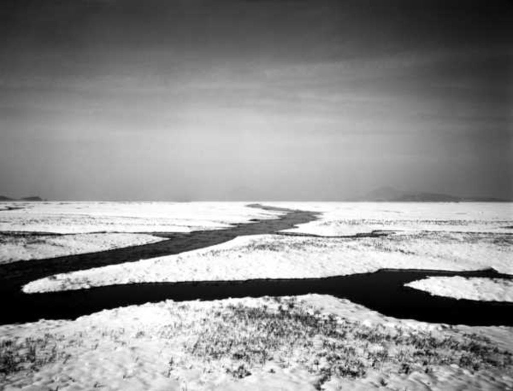 Detail of Forever at the Sea, 2012 by Carli Choi