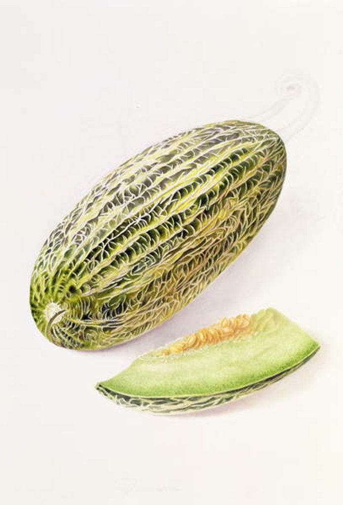 Detail of The Damsha Marrow by William Hooker