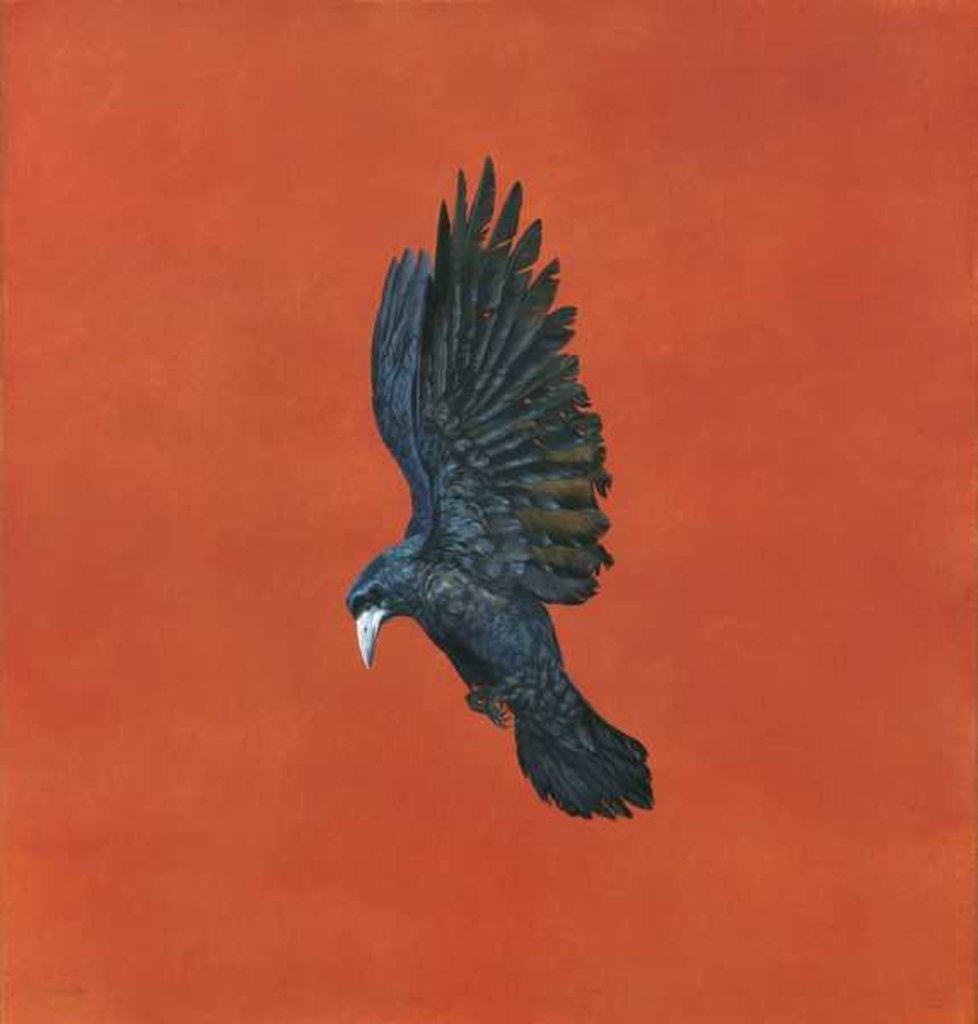 Detail of Shine-Red, 2016 by Tim Hayward