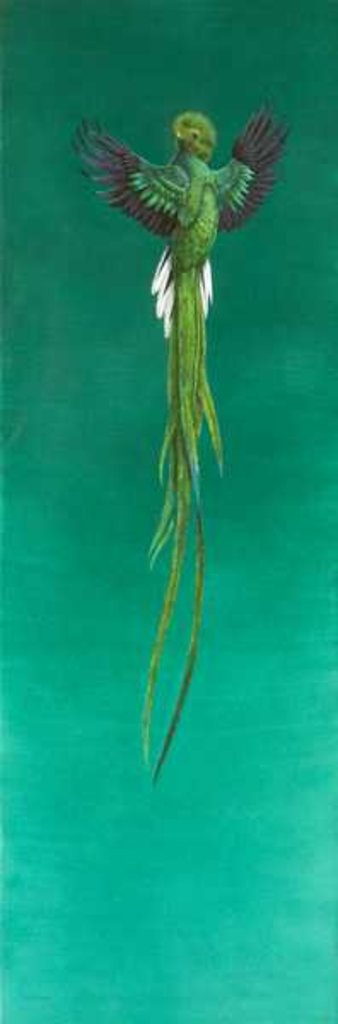 Detail of Quetzal by Tim Hayward