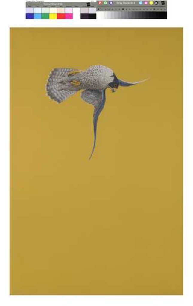 Detail of Yellow Stoop by Tim Hayward