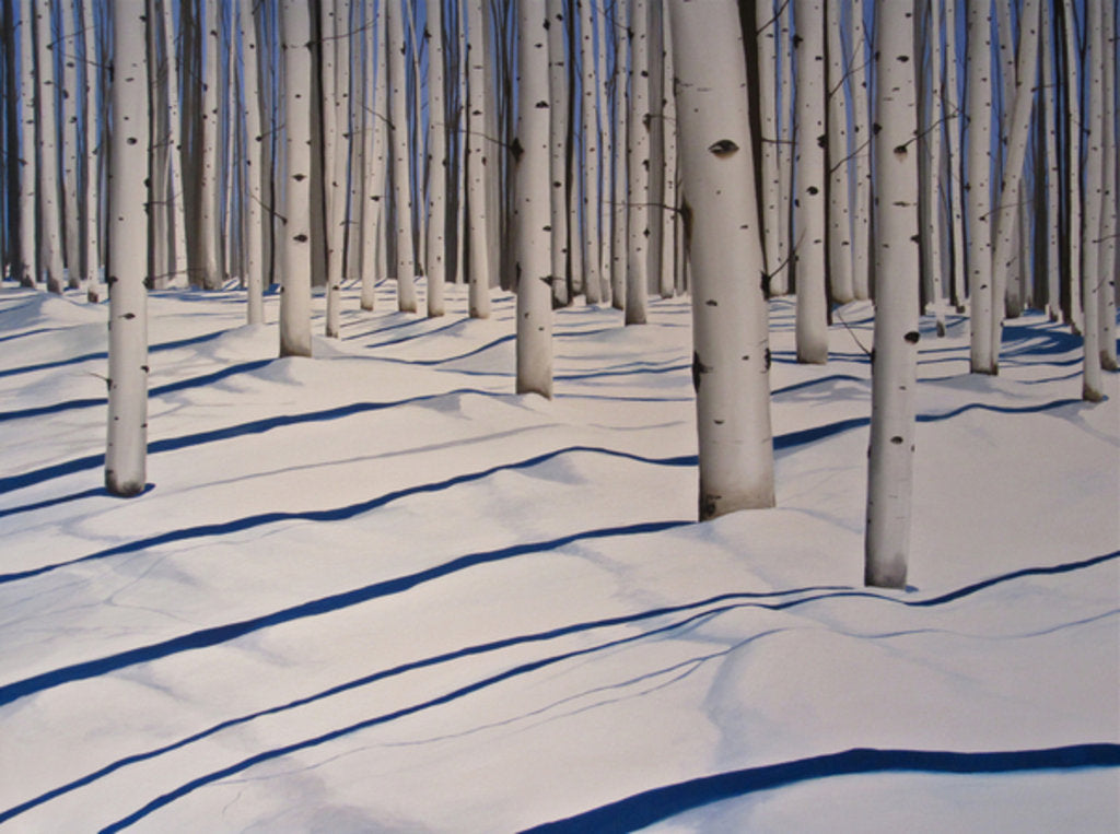 Detail of Snow Covered Woods, 2017 by Tina Palmer