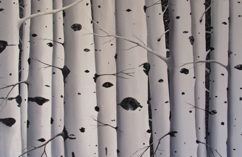 Detail of Birch Trees, 2017 by Tina Palmer