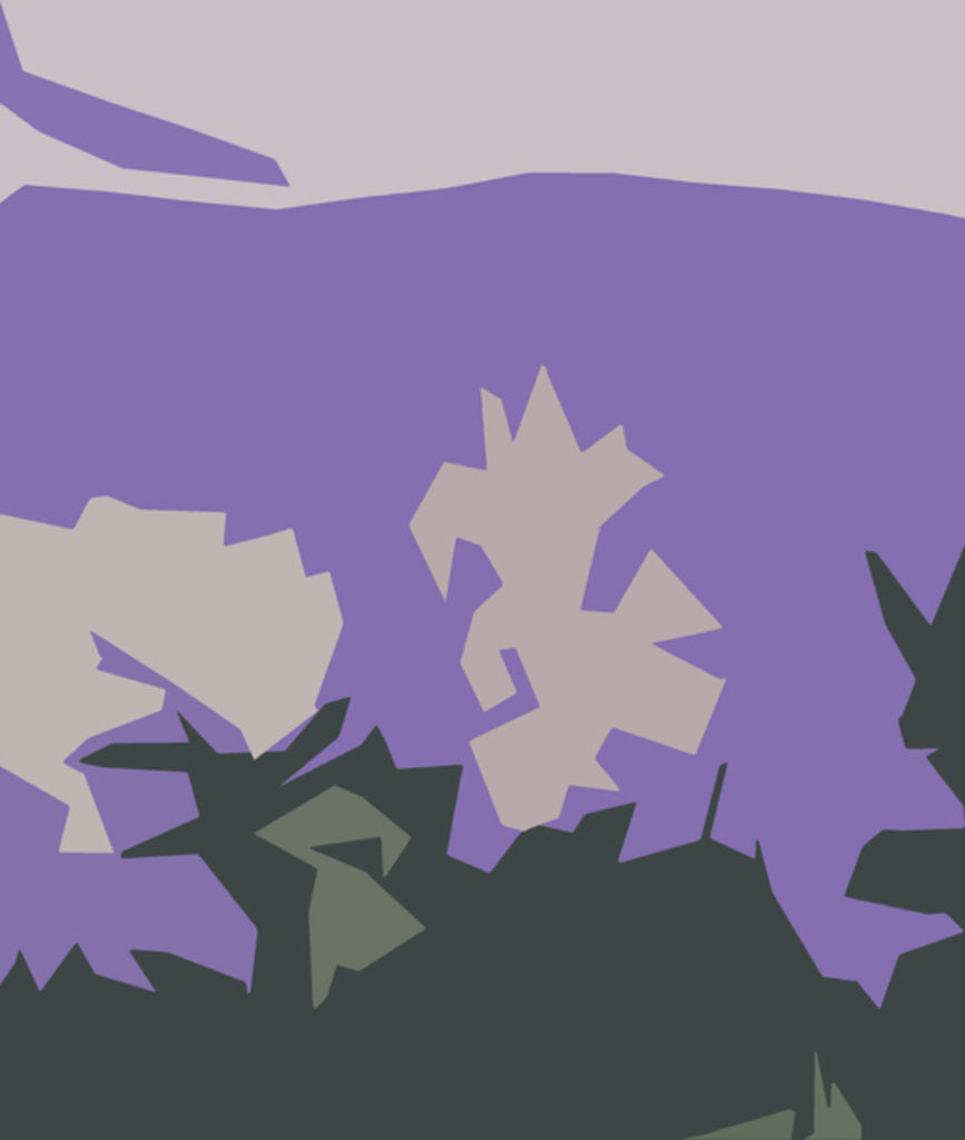 Detail of Vegetation in Mexico, 2016 by Alex Caminker