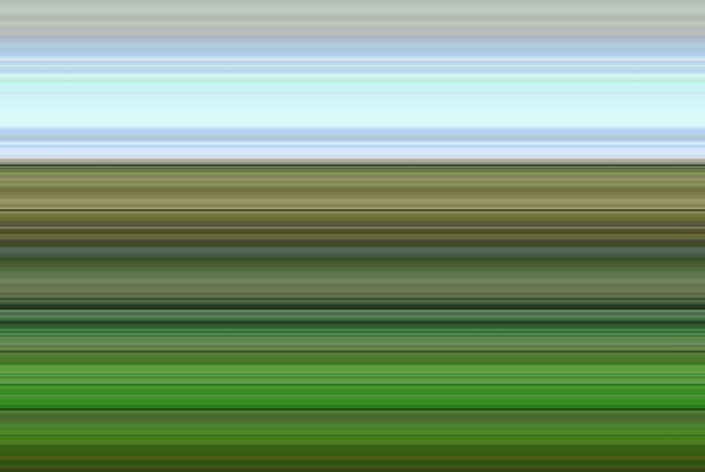 Detail of Lea, 2017 by Alex Caminker