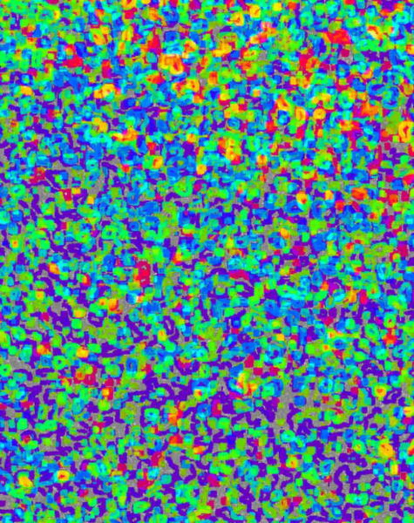 Detail of Dots, 2017 by Alex Caminker