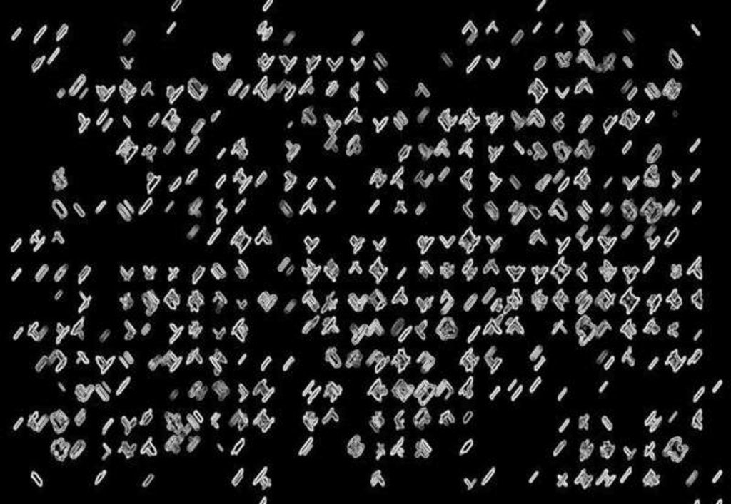 Detail of Black and white, 2017 by Alex Caminker