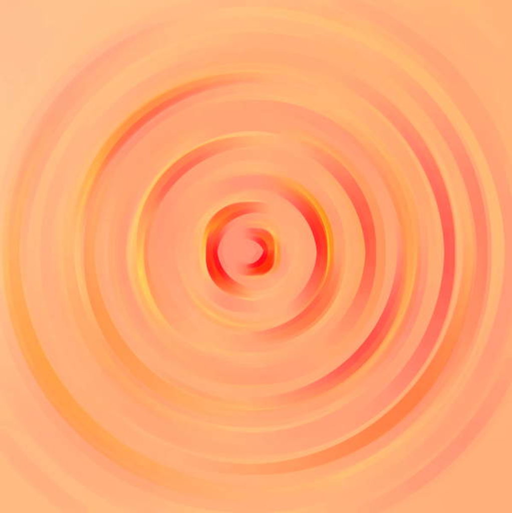 Detail of Rose, 2017 by Alex Caminker