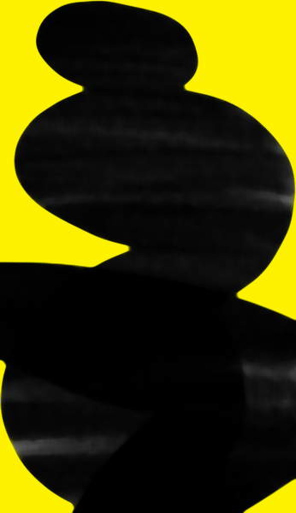 Detail of Silhouette, 2017 digital) by Alex Caminker