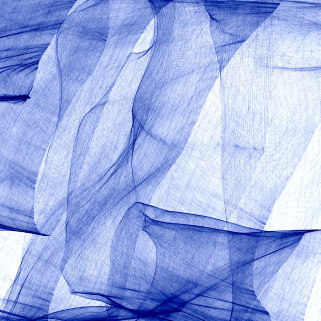 Detail of Silk, 2018 by Alex Caminker