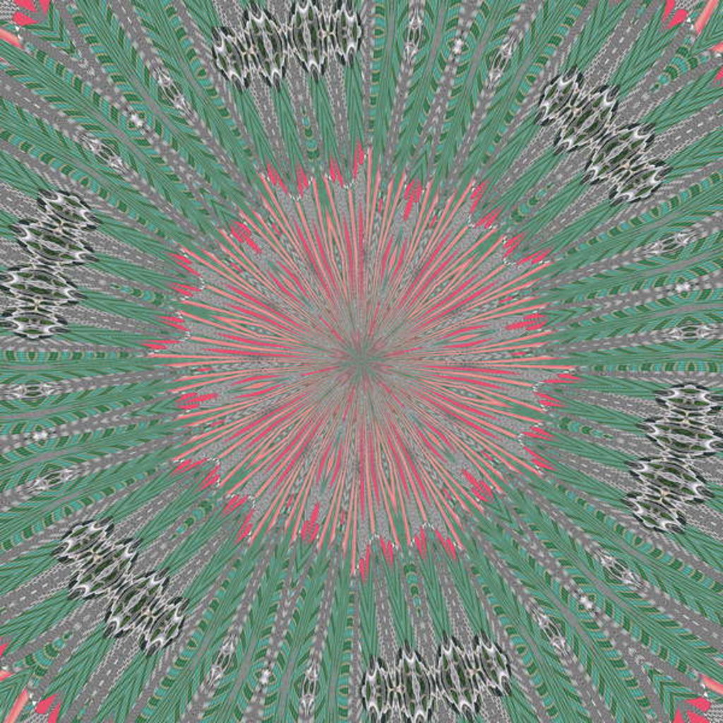 Detail of Symmetry #31, 2019 by Alex Caminker