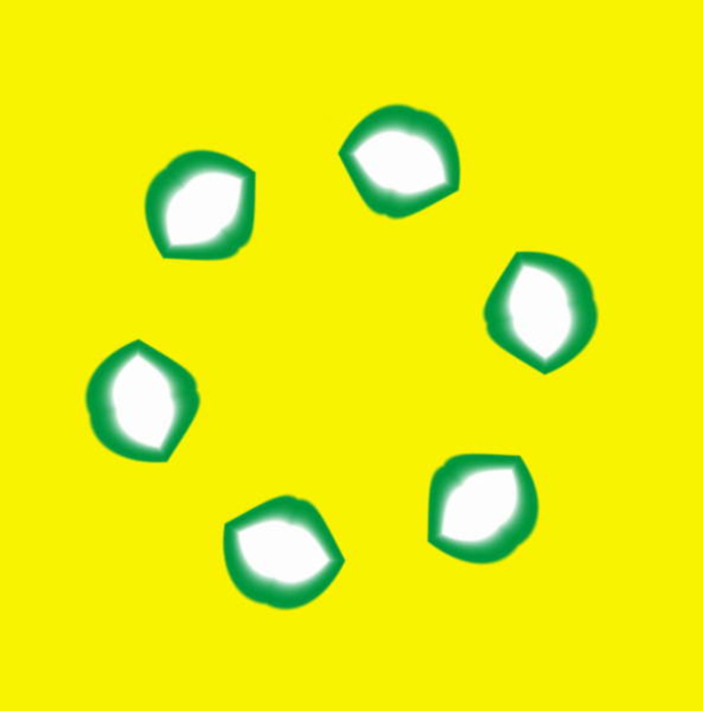 Detail of Lips, 2019 by Alex Caminker