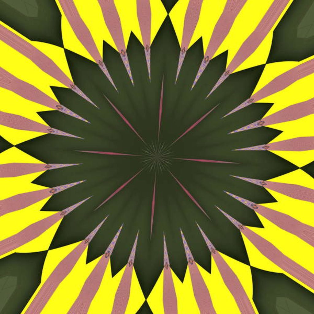 Detail of Sunflower, 2019 by Alex Caminker