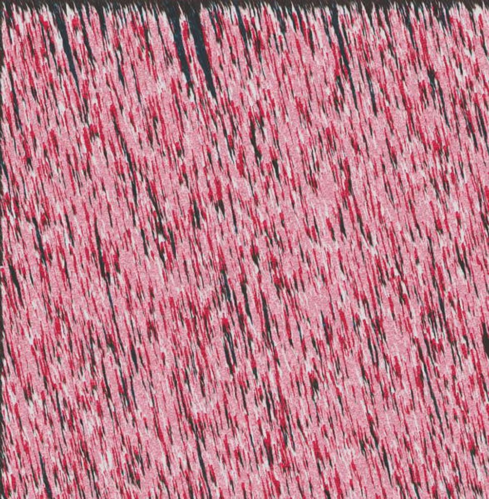 Detail of Margin I, 2019 by Alex Caminker