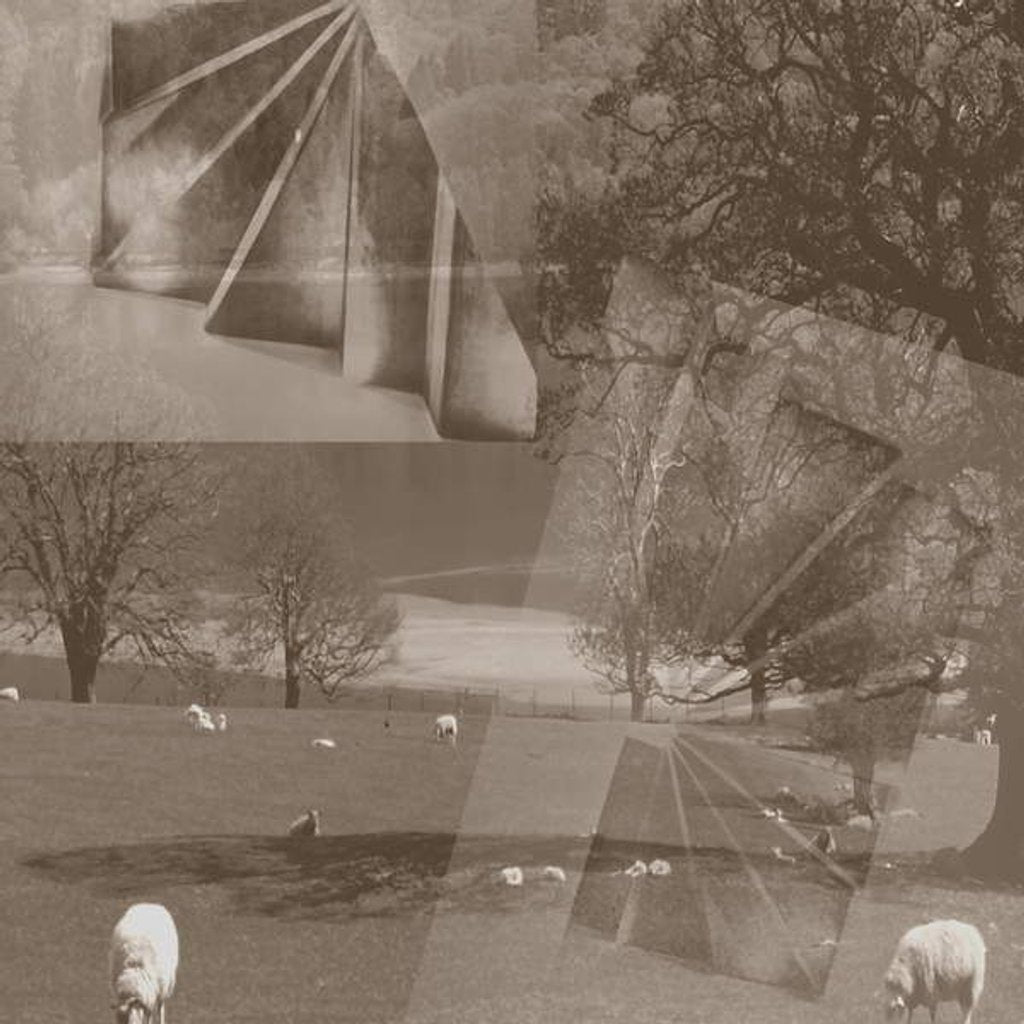 Detail of Sheep, 2019 by Alex Caminker