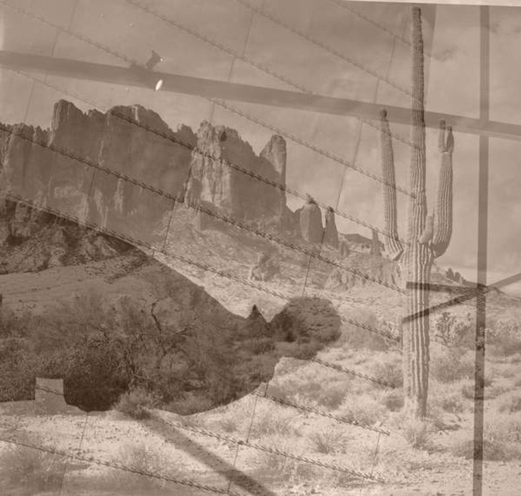 Detail of Desert, 2019 by Alex Caminker