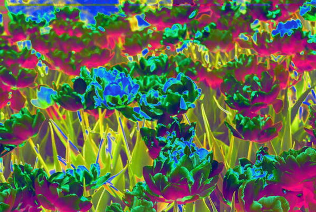 Detail of Garden, 2019 by Alex Caminker