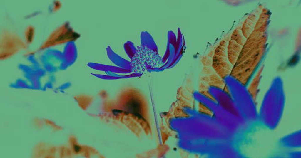 Detail of Uv vsion,2019, by Alex Caminker