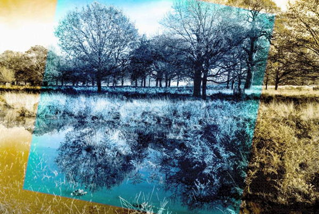 Detail of Blue Note, 2019 by Alex Caminker