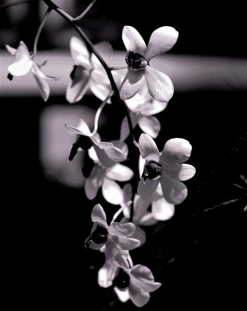 Detail of Bunch, 2019 by Alex Caminker