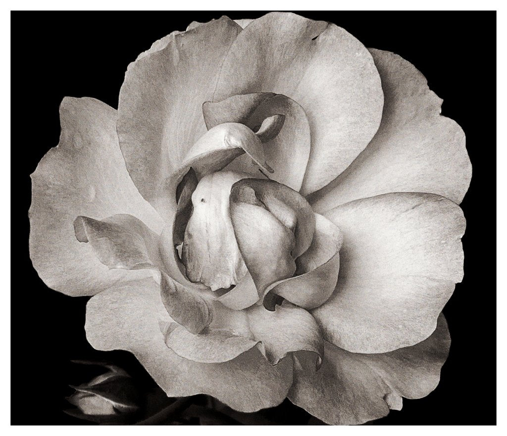 Detail of Untitled, 2019 by Alex Caminker