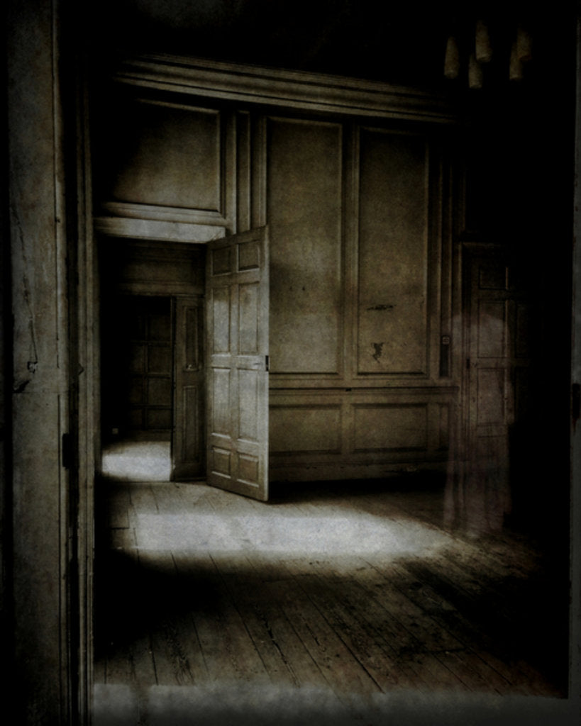 Detail of Panelled room with ethereal figure.., 2015 by Mark Gordon