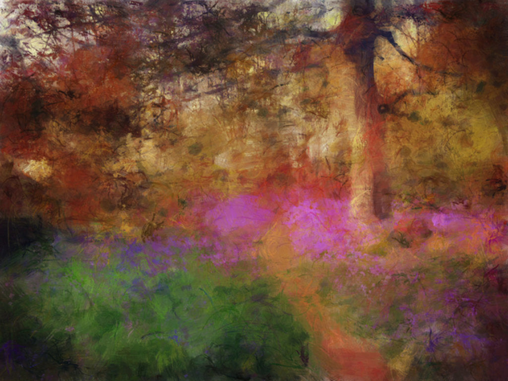 Detail of Bluebells at Calke Abbey by Mark Gordon