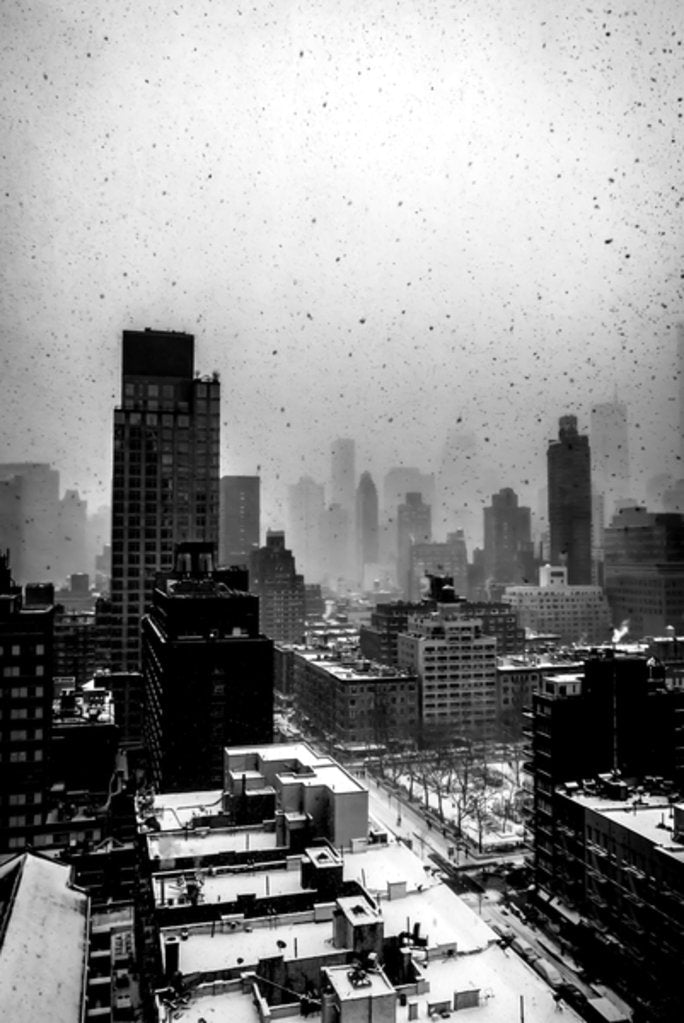 Detail of Heavy New York Snow, 2017 by Guilherme Pontes
