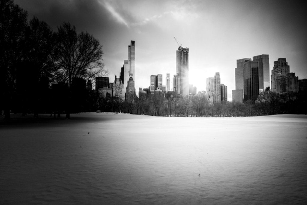 Detail of New York City Winter Skyline Nº1, 2017 by Guilherme Pontes