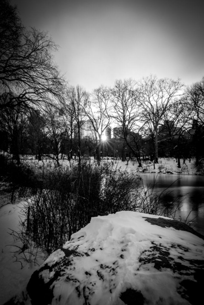 Detail of Central Park Winter Lake, 2017 by Guilherme Pontes
